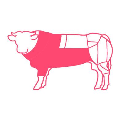 sica carni anteriore con pancia